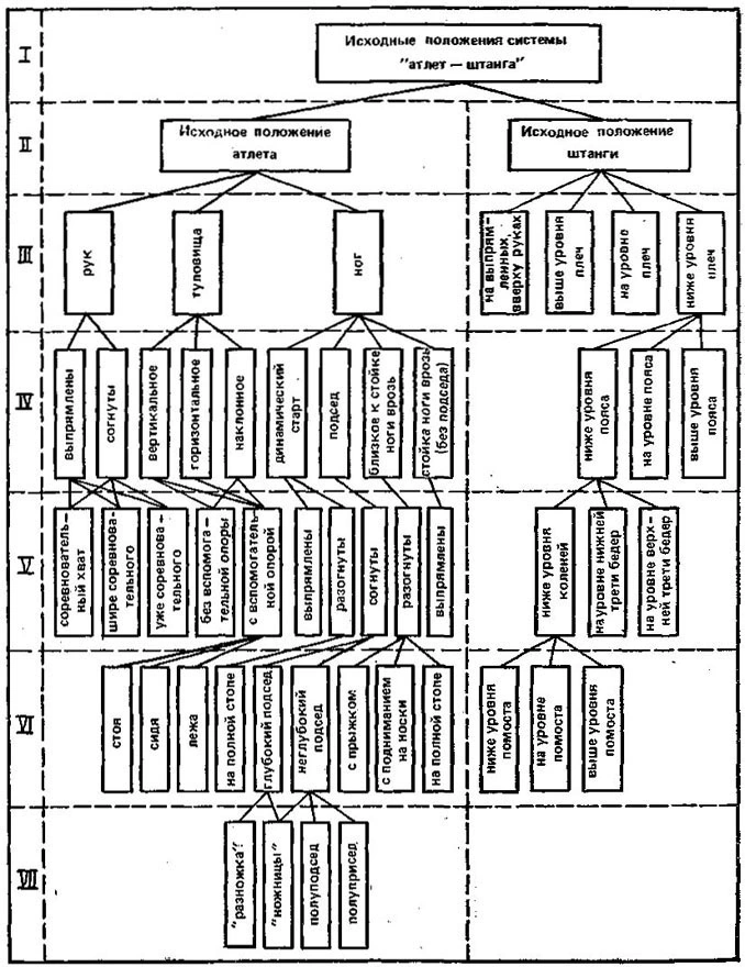 Hierarchical tree of starting positions of the athlete-barbell system